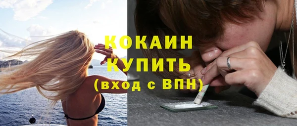 сатива Новокубанск