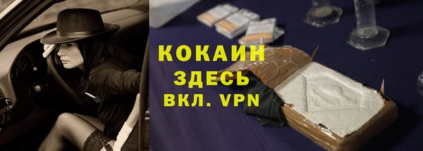 spice Няндома