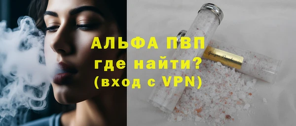 сатива Новокубанск