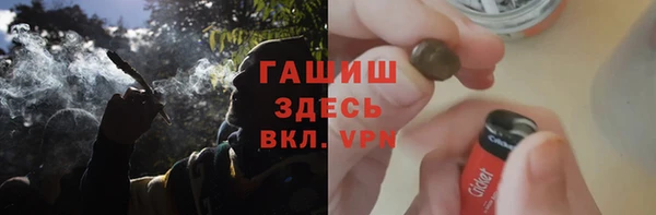 сатива Новокубанск