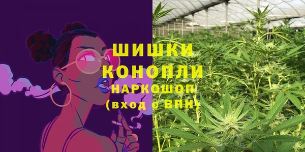 гидропоника Новодвинск