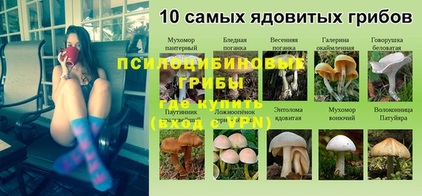 кокс Новозыбков