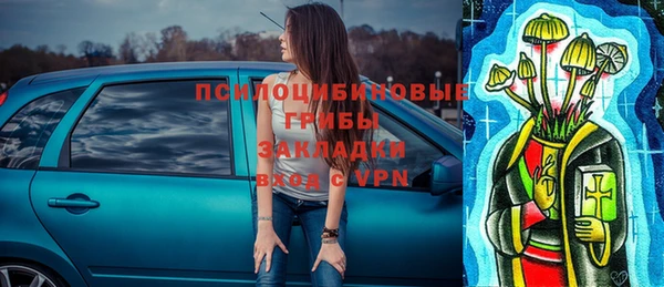 гидропоника Новодвинск
