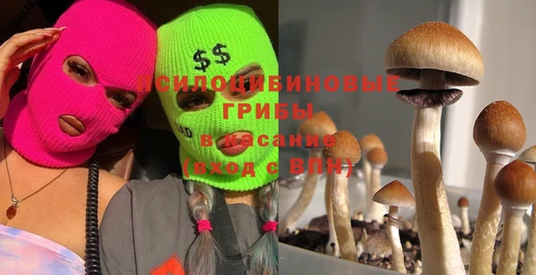 гашишное масло Грязовец