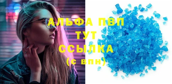 сатива Новокубанск