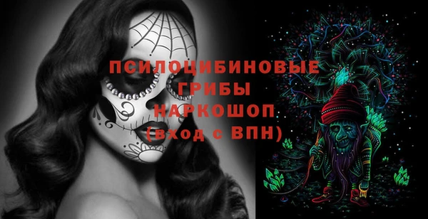spice Няндома