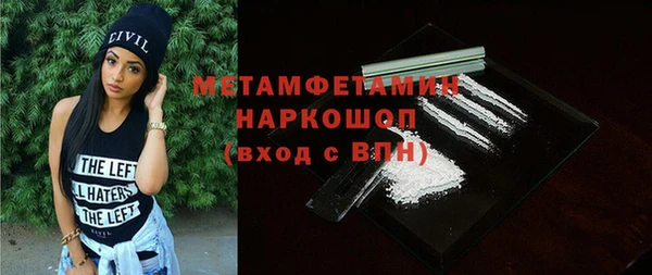 сатива Новокубанск